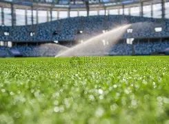 金年会,产品,金年会官网,金年会官网,金年会网页版,金年会官网入口,金年会官网,金年会首页