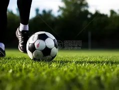 金年会,产品,金年会官网,金年会官网,金年会网页版,金年会官网入口,金年会官网,金年会首页