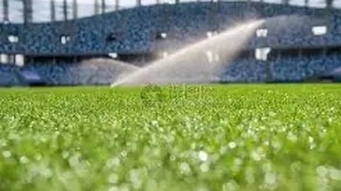 金年会 产品 214916 a31