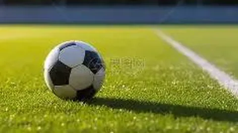 金年会 产品 141901 g9w