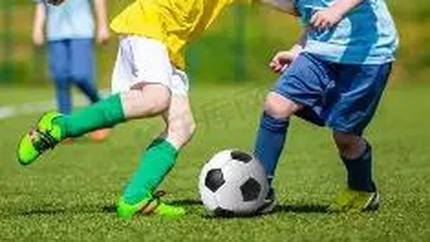 金年会 资讯 141917 f59