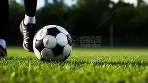 金年会 产品 141926 fva