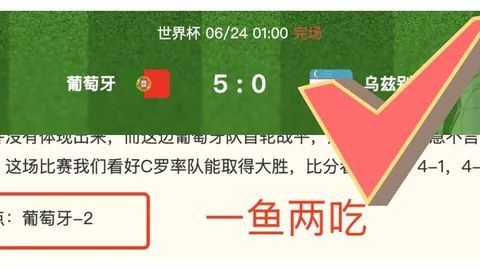 2026欧联杯终极指南独家金年会官网：7战5胜，避雷要点大公开